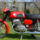 Cz_4761_979246_41424_t