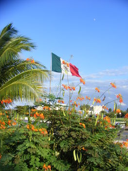 Mexikó 1