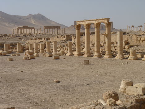 Palmyra "A szahara gyémántja".