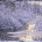 gyogyir_a_leleknek_6_458356_97416_n