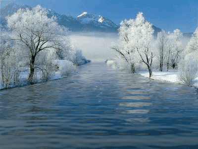 gyogyir_a_leleknek_9_458359_19737_n