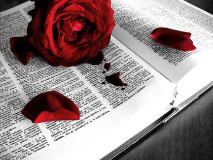 Biblia és rózsa