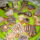 P1040363_989470_32711_t