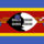 Flag_of_swaziland__szvazifold_908945_97216_t