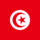 Flag_of_tunisia_908955_54731_t