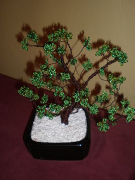 gyöngyfa-bonsai