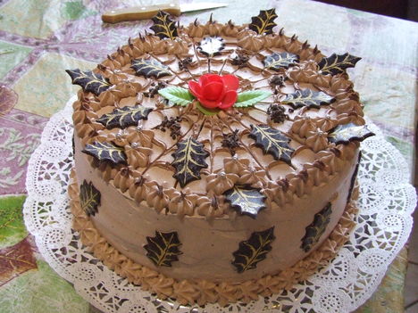 csoki torta