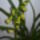 Elso_cymbim_ferjemtol_kaptam_1_992260_11253_t