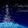 _2_993155_78365_t