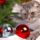 Boldog_karacsonyt_19_993744_47577_t