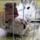 Jaszarokszallas_30_993500_63328_t