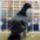 Jaszarokszallas_33_993503_17718_t