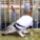 Jaszarokszallas_34_993504_50156_t