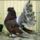 Jaszarokszallas_53_993523_78711_t