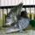 Jaszarokszallas_54_993524_24810_t