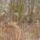 P1090017_993601_18987_t
