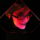 Pc230065_993098_67265_t