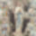 Szuz_maria_a_rozsafuzer_titkokkal_994889_92943_t