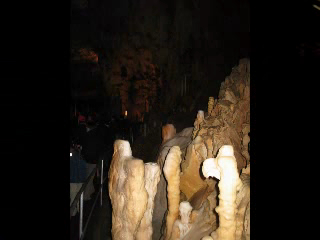 Medve barlang 12