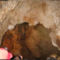 Medve barlang 3
