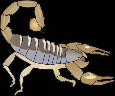 SKORPIO normal_iil-symbol-scorpion