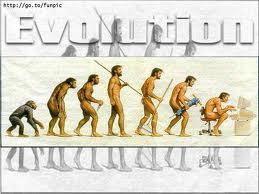  Evolucio