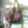 Febr_6_ota_viragzik_3_alvorugyet_hoz_es_egy_bebit_997583_47440_t