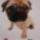 2010okt_1316_vegyes_146_909005_19749_t