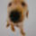 2010okt_1316_vegyes_151_909010_54384_t