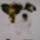 2010okt_1316_vegyes_154_909013_91117_t