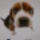 2010okt_1316_vegyes_155_909014_24181_t