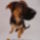 2010okt_1316_vegyes_170_909029_54093_t