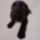 2010okt_1316_vegyes_171_909030_11929_t
