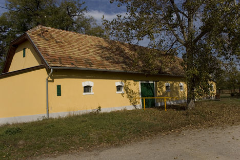 Dózsamajor