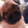 Dsc00150_909908_84474_t