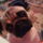 Dsc00367_909873_89819_t