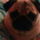 Dsc00421_909874_76777_t