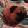 Dsc00422_909875_46180_t