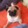 Dsc00454_909878_13111_t