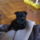 Heee_ez_az_en_pledem_990721_62615_t