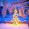 karácsonyfa a hóban