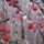 Tel_990039_70711_t