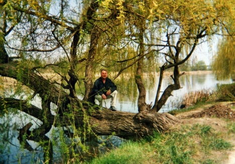 A fűzfám tavasszal