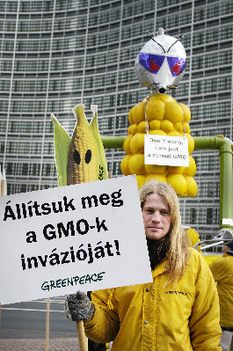 Greenpeace - GMO demonstráció