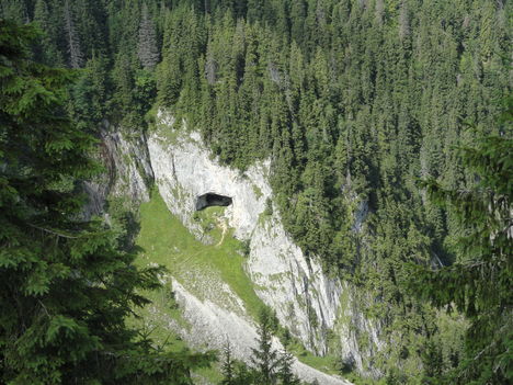 Barlang, ahol denevérek élnek.