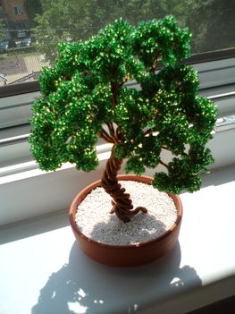 Bonsai2.