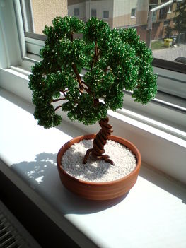 Bonsai