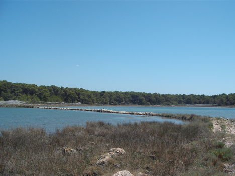 DSCF5018