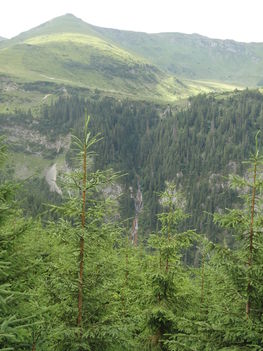 Tájkép.