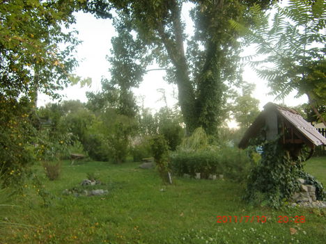 Udvar